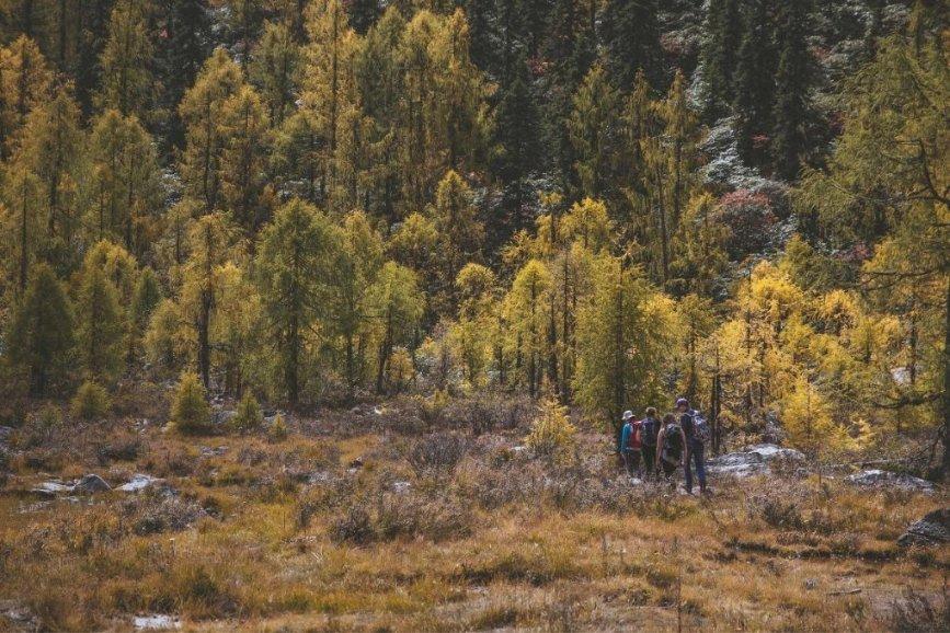 工地中挖出大量珍宝遭哄抢，其中有国家一级文物，幸被追回